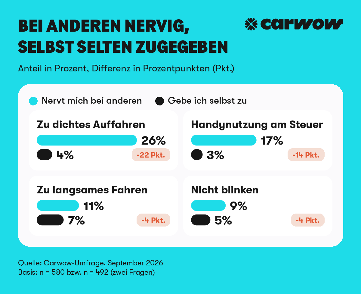 02_fahrverhalten_nervig_vs_selbst