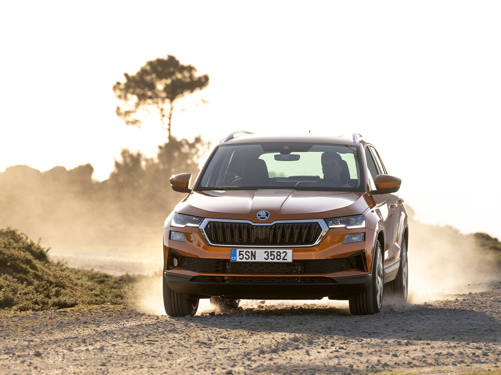 Skoda Karoq dynamisch