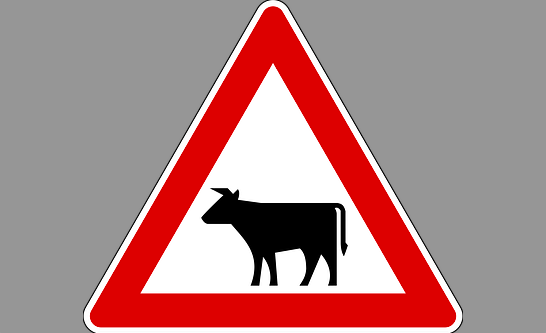 Verkehrsschild_Tiere