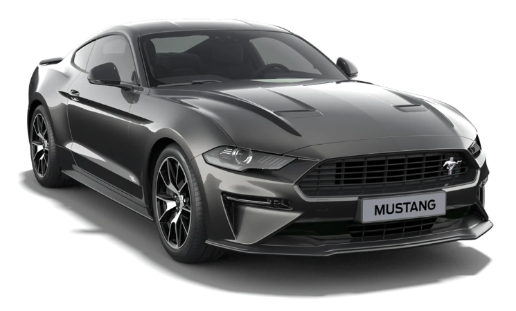 Ford Magnetic Grau Metallic