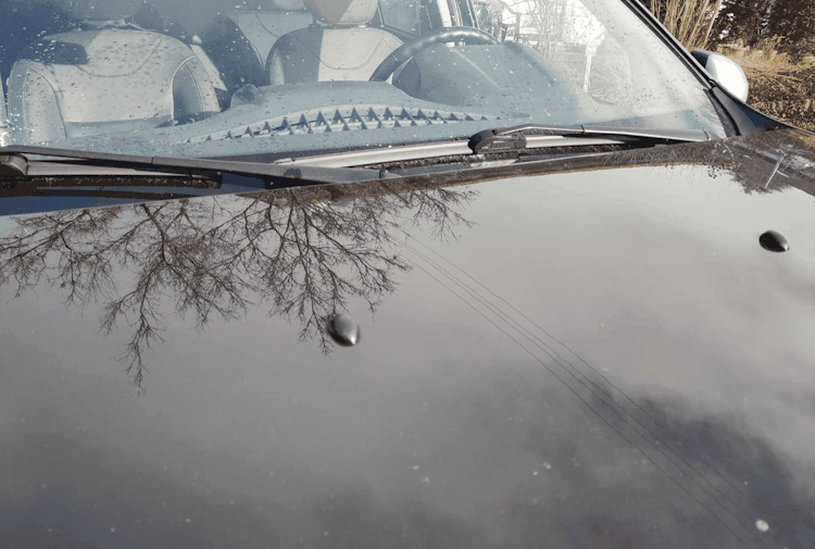 Frostschutzfolie für Auto richtig verwenden - so geht's