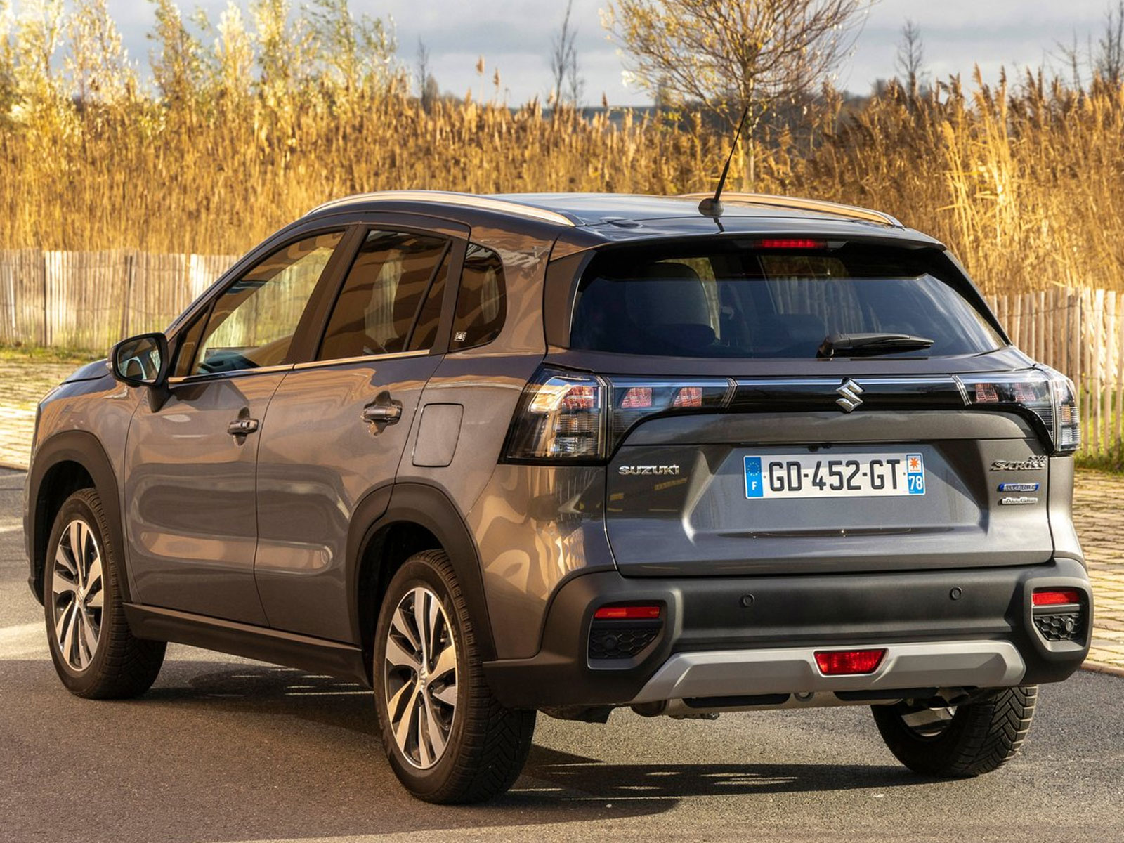 Suzuki S-Cross on sale May 2025 rear view